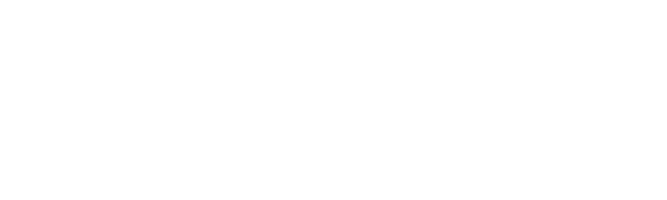 Diigima