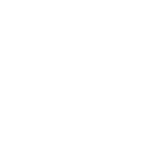 Diigima Logotype